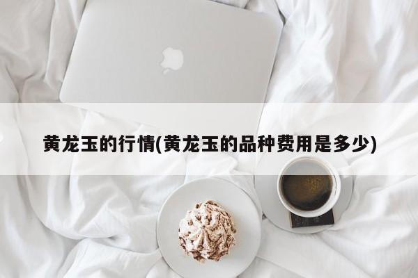 黄龙玉的行情(黄龙玉的品种费用是多少)