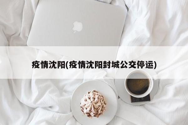 疫情沈阳(疫情沈阳封城公交停运)