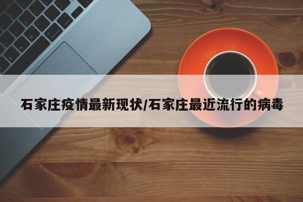 石家庄疫情最新现状/石家庄最近流行的病毒