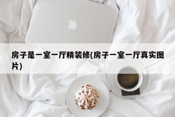 房子是一室一厅精装修(房子一室一厅真实图片)