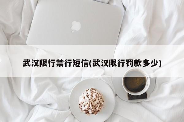 武汉限行禁行短信(武汉限行罚款多少)